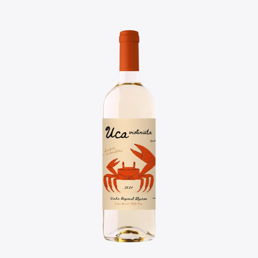 UCA Violinista Blanco 2024