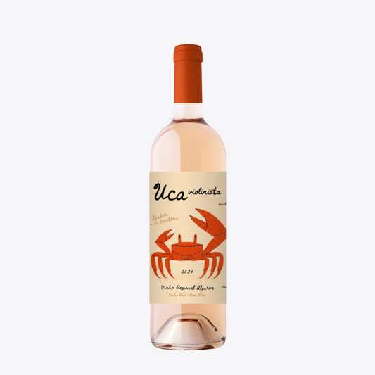 UCA Violinista Rosado 2024