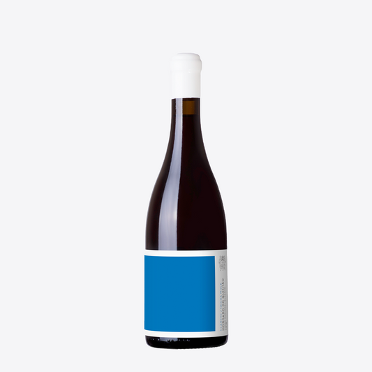 Morgado do Quintão Tinto Clarete Negro Topo 2023