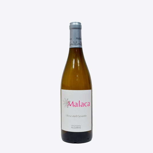 Malaca Blanco Moscatel Graúdo 2023
