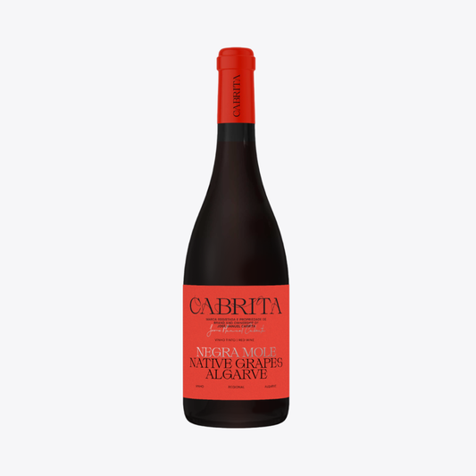 Cabrita Tinto Negra Mole Native Grapes 2024